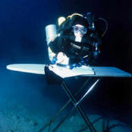 Extreme Ironing