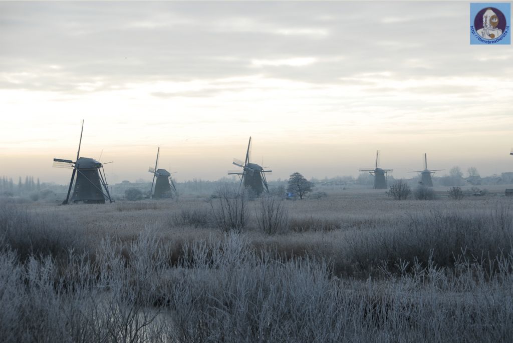 Icediving in the Netherlands 2009