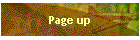 Page up