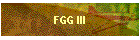 FGG III