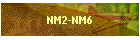 NM2-NM6