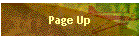 Page Up