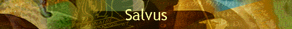 Salvus