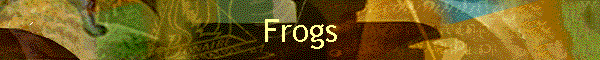 Frogs