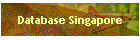 Database Singapore