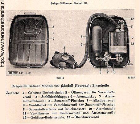 Model_220_02.jpg