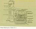 DraegerBG160_7.jpg